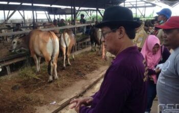 Presiden Jokowi Sumbang Sapi Kurban.  DPKH Kaltim Siap Salurkan di Masdjid Islamic Center