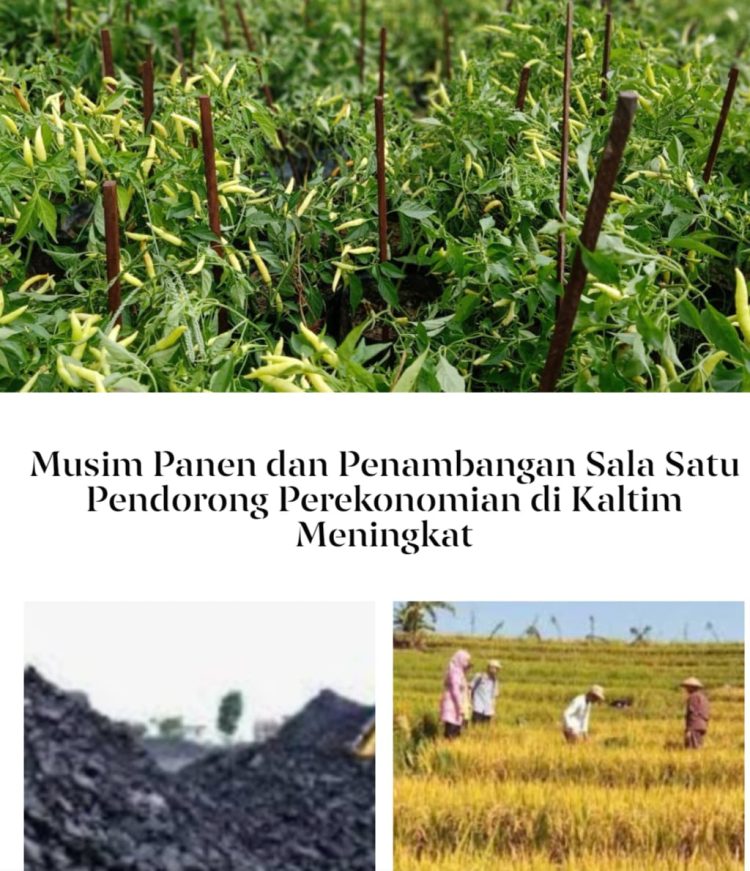 Pertambangan & Musim Panen Salah Satu  Pendorong Kenaikan Ekonomi Kaltim.