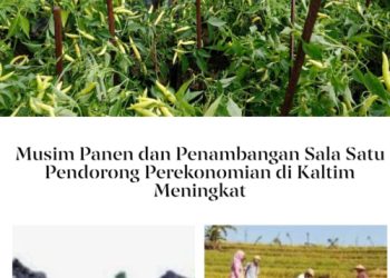 Pertambangan & Musim Panen Salah Satu  Pendorong Kenaikan Ekonomi Kaltim.