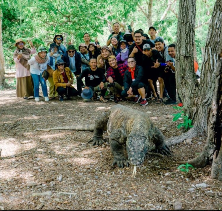 Ada Legenda di Pulau Komodo Hidup Berdampingan Bersama Masyarakat Lokal   