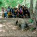 Ada Legenda di Pulau Komodo Hidup Berdampingan Bersama Masyarakat Lokal   
