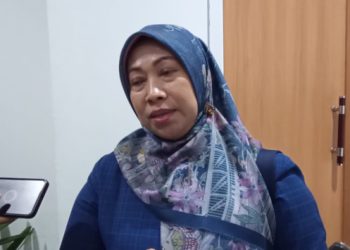 Sri Puji Astuti : Menuju Indonesia Emas, Kolaborasi Jadi Kunci