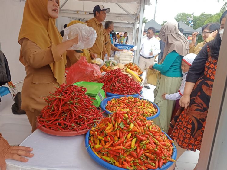 Sekda: Bayangkan Jika Gerakan Menanam Cabe Dilakukan Secara Masif!