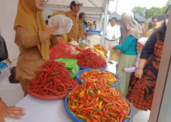 Sekda: Bayangkan Jika Gerakan Menanam Cabe Dilakukan Secara Masif!