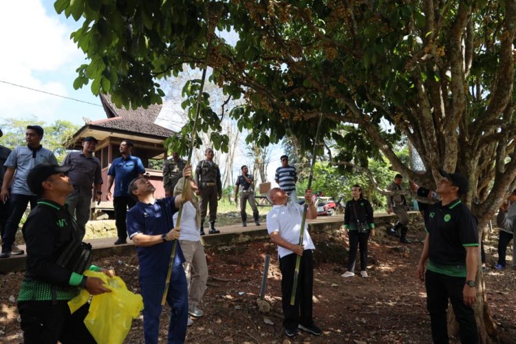 Gubernur dan Wagub Panen Buah Duku di Luar Musim