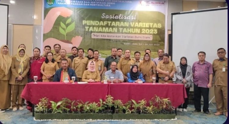 DPTPH Kaltim : UPTD PSBTPH Lakukan Sosialisasi Pendaftaran Varietas