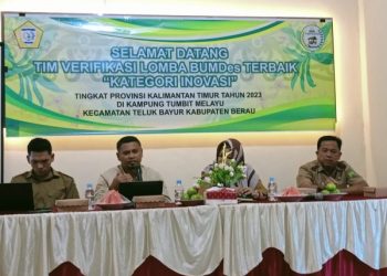 Penilaian BUMDes ( Badan Usaha milik desa), Target dan Inovasi