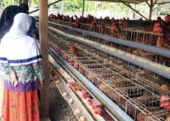 Kepala Desa Sebulu Ulu Harapkan Pelatihan Pertanian dan Peternakan untuk Pemuda Desa