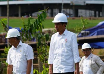 Presiden Jokowi Tanam Bibit Pohon Meranti Tembaga  di IKN