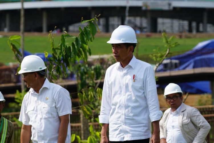 Presiden Jokowi Tanam Bibit Pohon Meranti Tembaga  di IKN