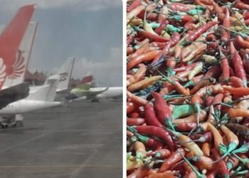 Cabe  Rawit, Angkutan Udara, Sala Satu Inflasi Kaltim Terbesar di Penghujung Desember 2023.