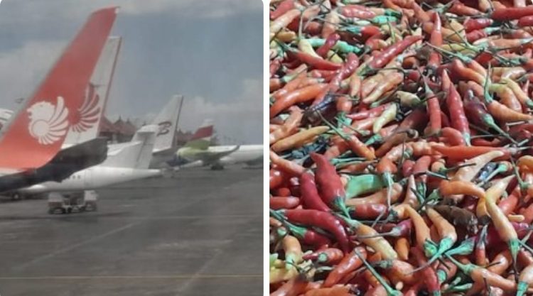 Cabe  Rawit, Angkutan Udara, Sala Satu Inflasi Kaltim Terbesar di Penghujung Desember 2023.