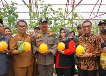 Bupati Kukar Dampingi Pj Gubernur Kaltim Panen Perdana Melon Metode smart system Greenhouse