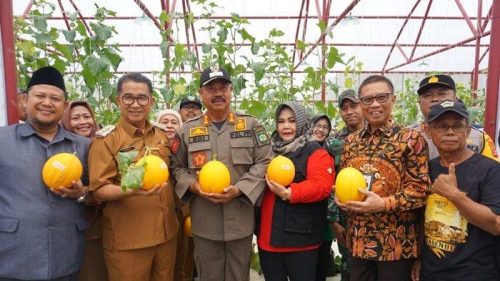 Bupati Kukar Dampingi Pj Gubernur Kaltim Panen Perdana Melon Metode smart system Greenhouse