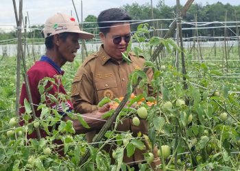 Genjot Sektor Pertanian Kukar Sebagai Lumbung Pangan IKN, Edi – Rendi Gelontorkan 700 M