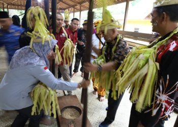 Festival Budaya Nutuk Beham Kutai Adat Lawas 2024, di Desa Kedang Ipil Kecamatan Kota Bangun Darat,