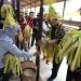Festival Budaya Nutuk Beham Kutai Adat Lawas 2024, di Desa Kedang Ipil Kecamatan Kota Bangun Darat,