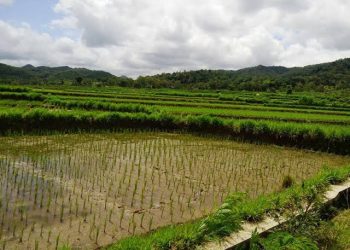 Pesona Alam Tak Terelakkan, Mahulu Fokus Kembangkan Pertanian