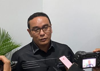 Implementasi Solusi Jangka Panjang Efektif Tangani Banjir dan Reklamasi Tambang Didorong Novan