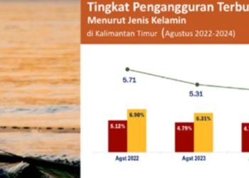 Pengangguran Terbuka Kota Tepian Jadi Sorotan Anhar