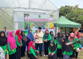 Bupati Kutai Kartanegara Hadiri Panen Perdana Melon Hidroponik di Desa Rapak Lambur