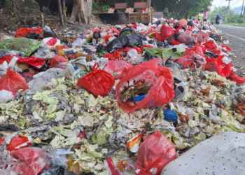 Solusi Sementara, Kecamatan Tenggarong Seberang Upayakan TPS Darurat