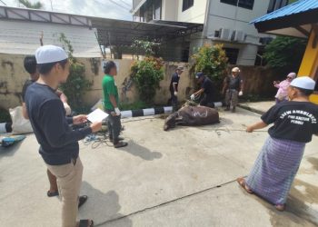 PWI Kaltim Berbagi Hewan Kurban